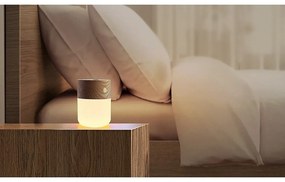 Diffusore elettrico Smart - Gingko