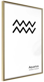 Poster  Zodiac: Aquarius II  Cornice Quadri Cornice d'oro, Larghezza x Altezza Home decor 20x30