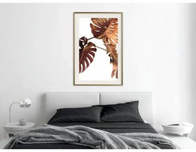 Poster Copper Monstera