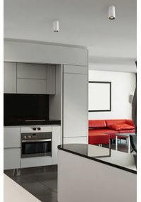 FARO 64190 - Luce Spot NAN 1xGU10/50W/230V