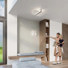 Plafoniera da Soffitto in Acciaio e Vetro Massimo E27 da interno