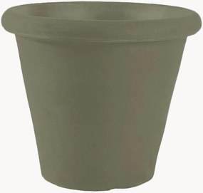 Portavaso Camelia
