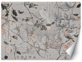 Carta Da Parati, Vecchia mappa e uccelli
