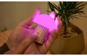 Lampada da tavolo con intensità regolabile di colore naturale in frassino massiccio (altezza totale 7 cm) Alice – Gingko