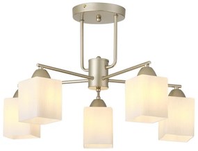 Lampadario a plafone 5xE27/60W/230V