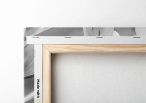 Quadro su tela – Magnolia in bianco e nero su sfondo astratto