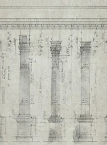 Mindthegap Carta da parati Colonnade - WP20022