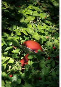 Lampada da tavolo dimmerabile a LED rossi (altezza 20 cm) Mush - Hübsch