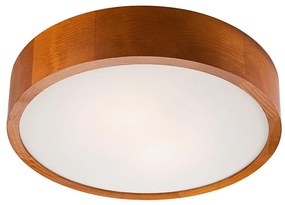 Plafoniera LED 1xLED/24W/230V