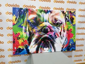 Quadro su tela – Bulldog pop-art