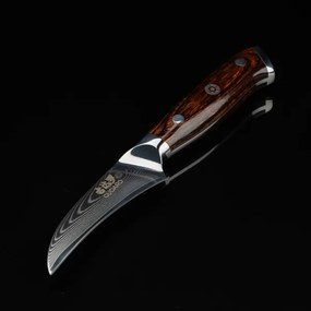 Gudaro - Coltello da cucina per frutta in acciaio damascato FENG 3,5", 67 strati d'acciaio, lunghezza 9,5 cm
