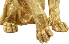 Leone Shant 45X29X55