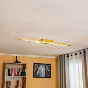 Quitani Talon plafoniera LED a 2 luci in ottone anodizzato