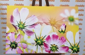 Quadro su tela – Fiori estivi