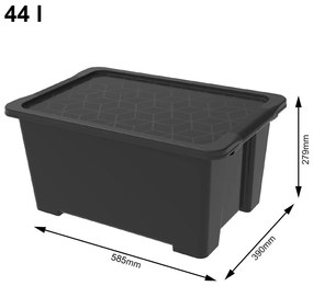 Scatola di plastica con coperchio Evo Easy - Rotho