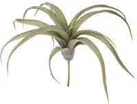 Set 2 Foglie Artificiali Tillandsia per 19 30 cm