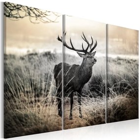 Quadro Dangerous Horns I  Colore Beige, Dimensioni e Misure 90x60