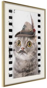 Poster  Dressed Up Cat  Cornice Quadri Cornice d'oro con passe-partout, Larghezza x Altezza Home decor 20x30