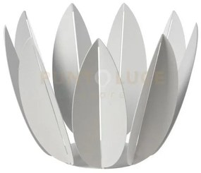 Agrumiera ficus bianco marmo