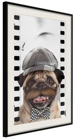 Poster  Dressed Up Pug  Cornice Quadri Cornice nera con pass-partout, Larghezza x Altezza Home decor 30x45