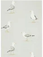 Möwen Tapete Shore Birds von Sanderson - Gull