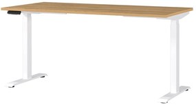 Scrivania con altezza regolabile elettricamente 80x160 cm Jet – Germania