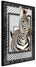 Poster  Zebra in the Frame  Cornice Quadri Cornice nera, Larghezza x Altezza Home decor 40x60