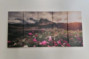 Quadri 5 pezzi – Prato di fiori in fiore