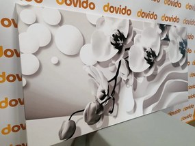 Stampa su tela – Orchidea in bianco e nero su sfondo astratto
