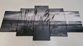Quadri 5 pezzi – Tramonto sulla spiaggia in bianco e nero