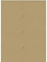 Élitis Carta da parati Cocon - VP 994 10