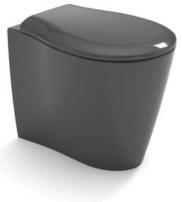 Vaso WC filomuro OLYMPIA CERAMICA soft grigio, sedile incluso P 55 x L 36 x H 42 cm grigio / argento lucido