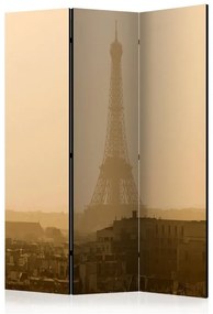 Paravento Paris at Dawn [Room Dividers]