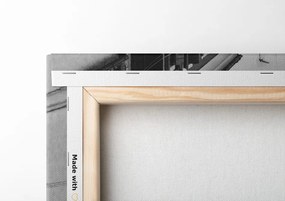 Quadro su tela – Case in bianco e nero in città
