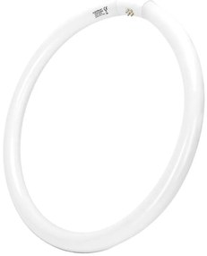 Tubo fluorescente T9 G10q/40W/230V 6500K - Aigostar