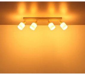 Globo 54114-4 - Faretto orientabile TRENT 4xE14/25W/230V