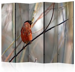 Paravento Bullfinch in the forest II [Room Dividers]