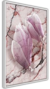Poster Magnolia on Marble Background