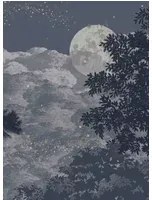 Isidore Leroy Carta da parati panoramica Eclipse Clair Obscur - Panel B
