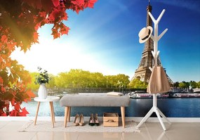 Carta da parati autoadesiva – Parigi autunnale