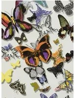 Christian Lacroix Carta da parati Butterfly Parade - Multicolore
