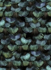 Rebel Walls Carta da parati Petite Peacock Plumage - Opal