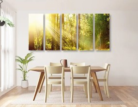 Quadri 5 pezzi – Raggi di sole nella foresta