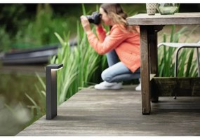 Philips 16485/93/P0 - Lampada LED da esterno BUSTAN 2xLED/4,5W/230V IP44