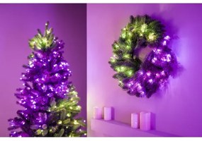 Twinkly GD20P4425P00 - LED RGB Dimmerabile Ghirlanda di Natale 50xLED diametro 60 cm Wi-Fi