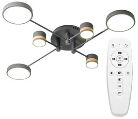 LAMPADA DA SOFFITTO GREY GRIGIA APP529-6C