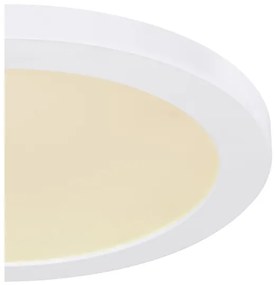 Globo 12379-24W - Plafoniera LED LASSE LED/24W/230V