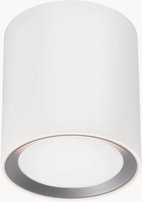 Faretto da soffitto a LED con luce regolabile Landon