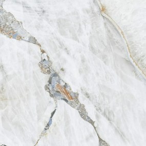 Gres Porcellanato Effetto Marmo Prezioso Bianco Opaco 120X120 - Ebrp751