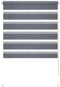 Tenda a pacchetto giorno/notte color antracite 42,5x150 cm Zebra Silvalin – Gardinia